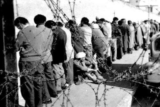 8 ماي 1945: اليوم الذي قمعت فيه فرنسا مظاهرة سلمية من اجل جزائر حر