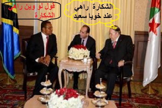 الرئيس بوتفليقة يستقبل نظيره التنزانى