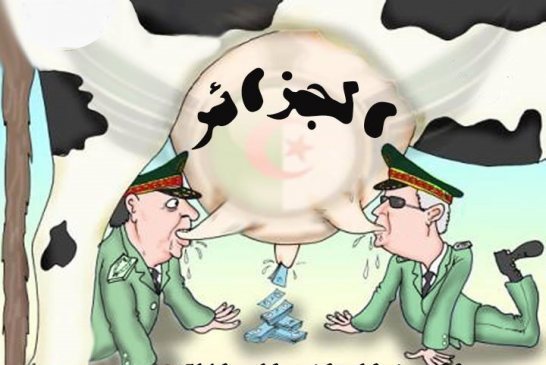 الجزائر الدولة الوحيدة في العالم التي يعاني شبابها من البطالة في حين تستورد موظفين من الخارج
