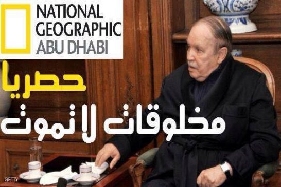 بسبب سيطرة نظام آل بوتفلـيـقـة المفـياوي الفساد يعم كل المؤسسات الجزائريـة بما فيها الجيـش