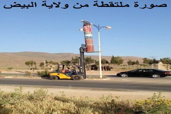 العبقرية الجزائرية؟