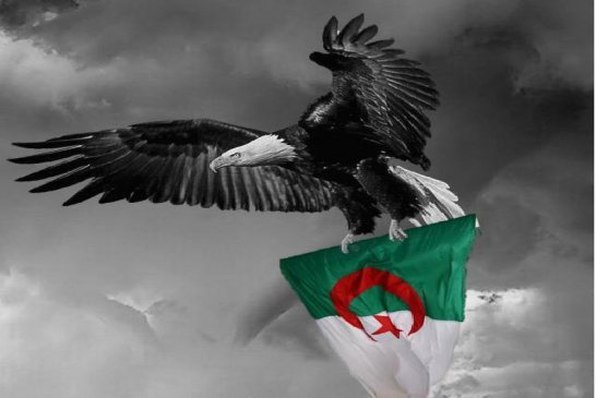 الجزائر والآخرون