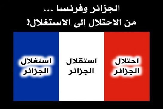 الثورة الجزائرية بين طلاب اللغة العربية وطلاب الفرنسية