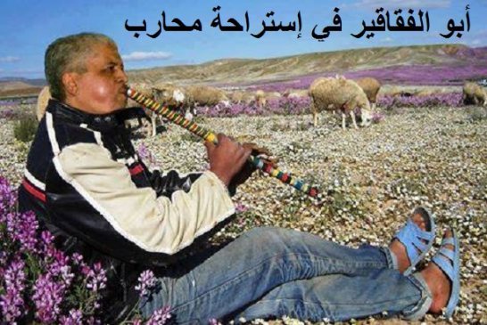 سلال يعترف للجزائريين  بصراريح دراهمكم نهبوهم السراريق في حواويل الى البناكيك