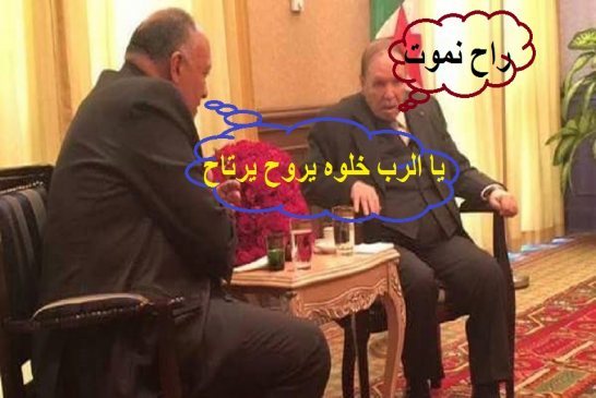 الرئيس بوتفليقة ينال رئاسة الأفلان بالتزكية