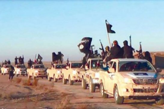 تنظيم الدولة الإسلامية يستقر في الرمادي