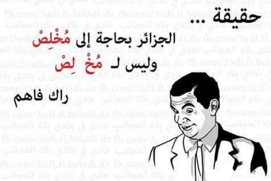70 مليار دولار حولت دبي قطب عالمي و 800 مليار دولار حولت الجزائر الى دولة في طريق النمو