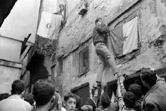 القرن العشرين عرف أعظم ثورتين: ثورة الفييتنام وثورة الجزائر