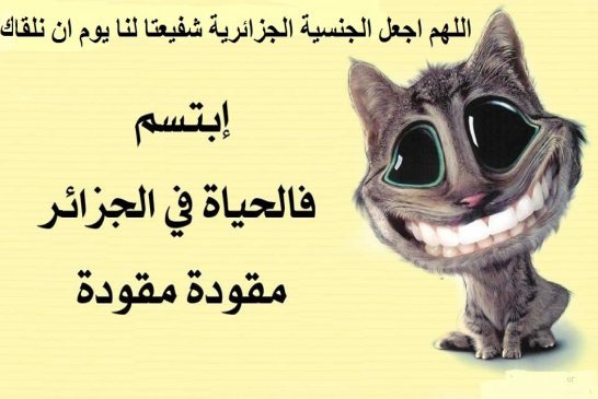 عراقيل وصعوبات تواجه القضاء الجزائري للحسم في قضايا الفساد