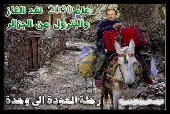 الجالية الجزائرية ستنظم ندوة حول الغاز الصخري يوم 29 جوان