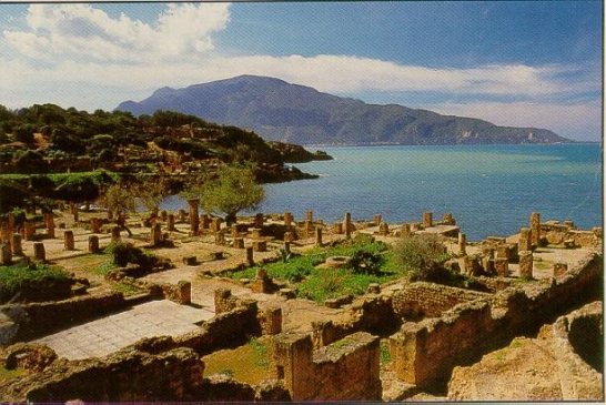 مجمع إيطالي عالمي يحصل على أضخم مشروع سياحي في الجزائر بورڤلة