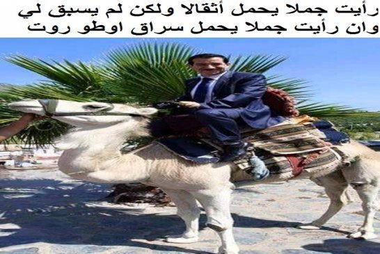 Khelladi : « Amar Ghoul n’a jamais été docteur, il a utilisé le titre d’un docteur tunisien
