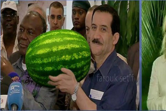 رسالة إلى عمار غول: اسكت يرحمك الله!