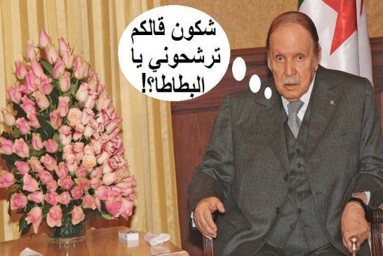 خبير مغربي : الجزائر تعيش على برميل بارود مرشح للانفجار في أي وقت