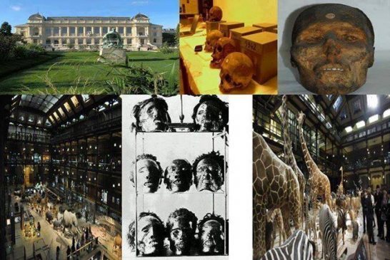 عزيزي السّائح الجزائري عندما تسافر لفرنسا لا تنسى أن تزور المتحف الوطني للعلوم الطبيعية