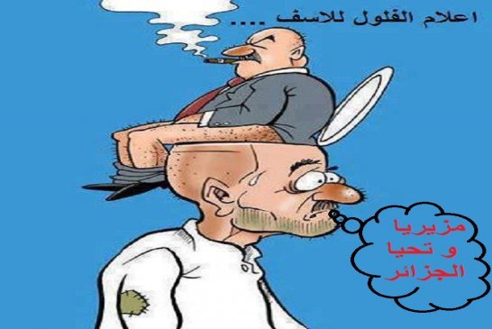 برقوقيات راك فاهم : الجزائر تجوّع المغاربة خلال شهر رمضان