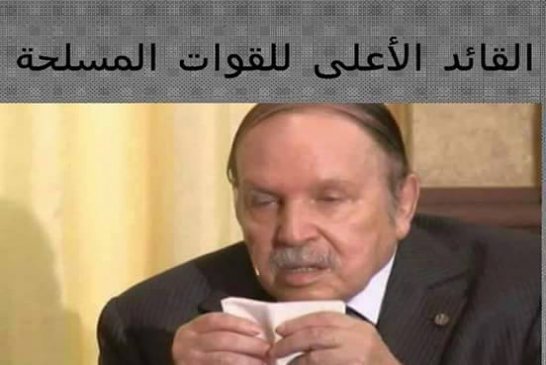 الإعلام المصري: يتهم بوتفليقة بمساندة الإرهاب الدولي