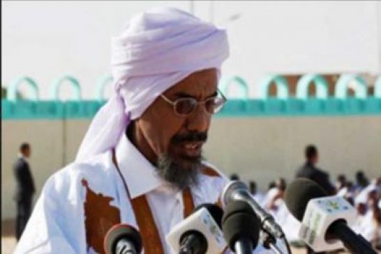 حقوقية موريتانية تنتقد الإمام الأكبر وتثير جدلا حول أفكاره
