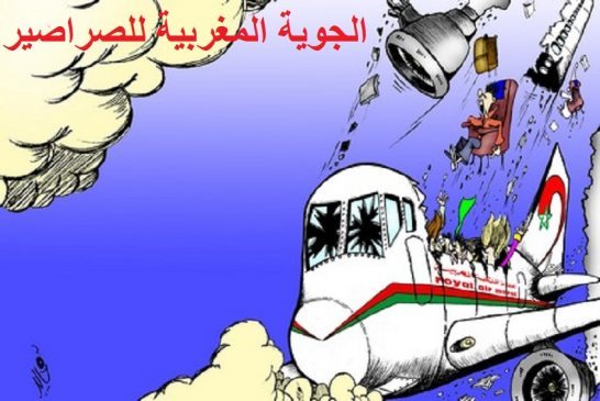 إبن جنرال ومدير للجوية المغربية بنيويورك يصف مغاربة أمريكا بالصراصير