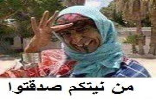 بوتفليقة يعرب عن استعداده لمواصلة العمل مع المغرب من أجل تمتين الأخوة