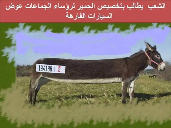 قيادية في حزب الأصالة تتهم بنكيران بقصر النظر وعدم الكفاءة والمردودية