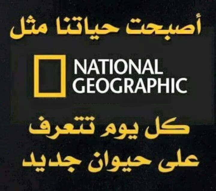 اقالة الجنرال العقون بقرار رئاسي ووضع مركز الابحاث العسكرية بيد  الجنرال شواقري