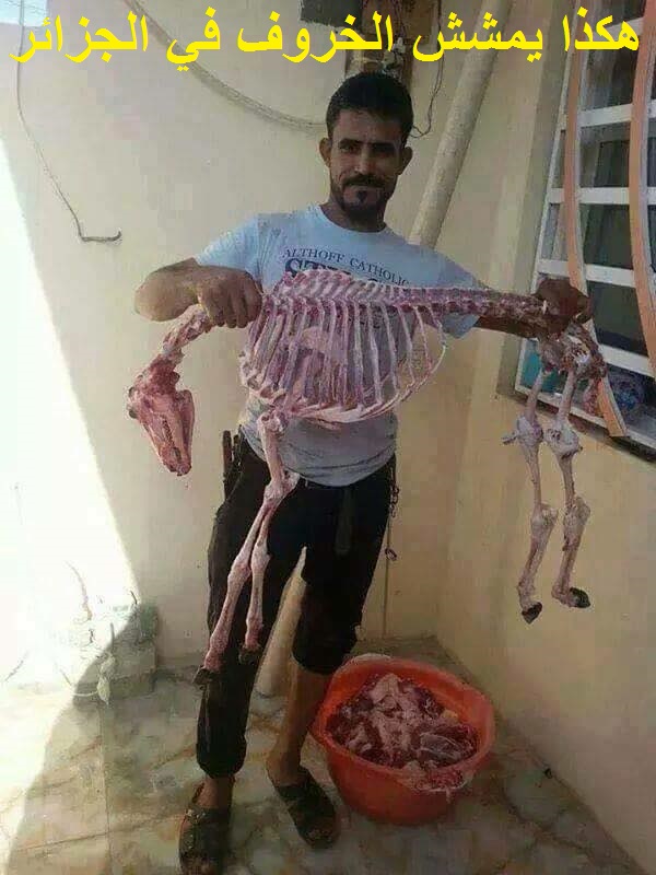 التعليق لكم