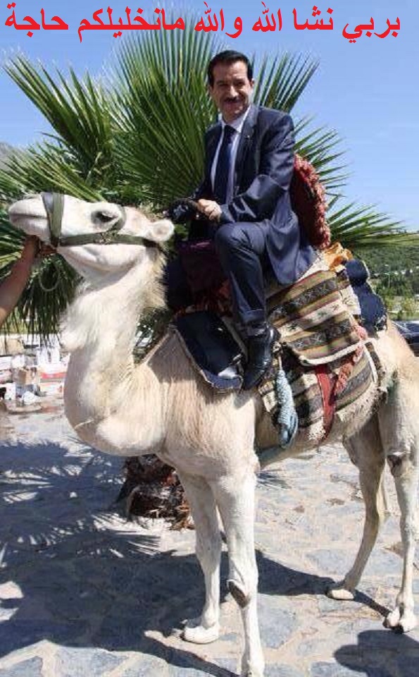 فهم عمار غول تهبل : الأزمة الإقتصادية تخدم السياحة في الجزائر