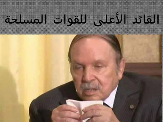 أسرار العرش في مملكة بوتفليقة