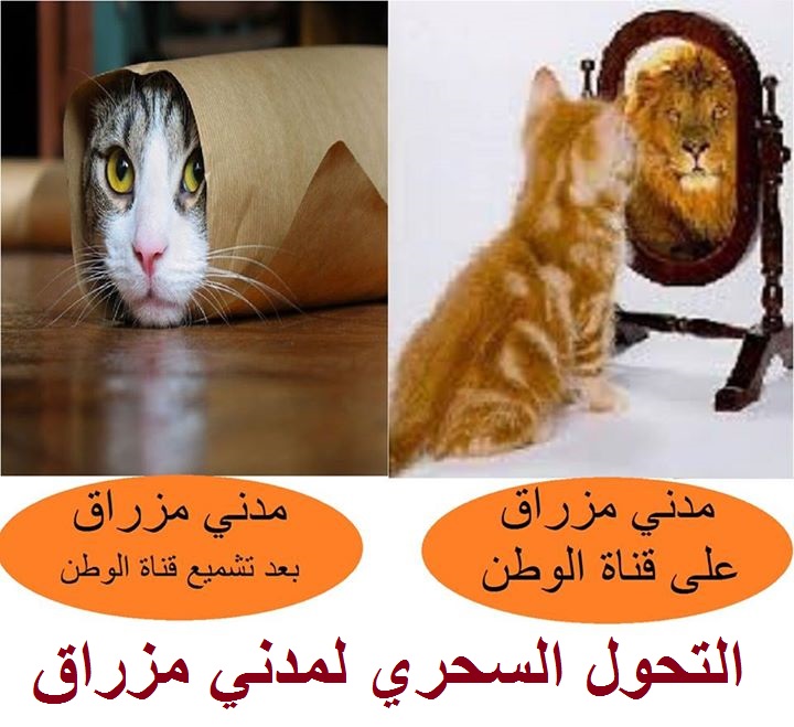 مدني مزراق دمية بألف وجه يتراجع عن «تهديداته» ويمدح سياسية بوتفليقة
