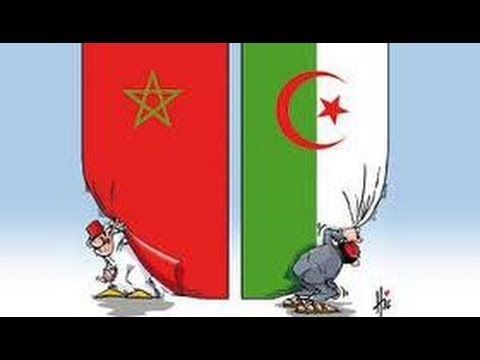 مشكل الصحراء الغربية قضية مفتعلة تستخدمها الجزائر لشنّ حرب استنزاف على المغرب