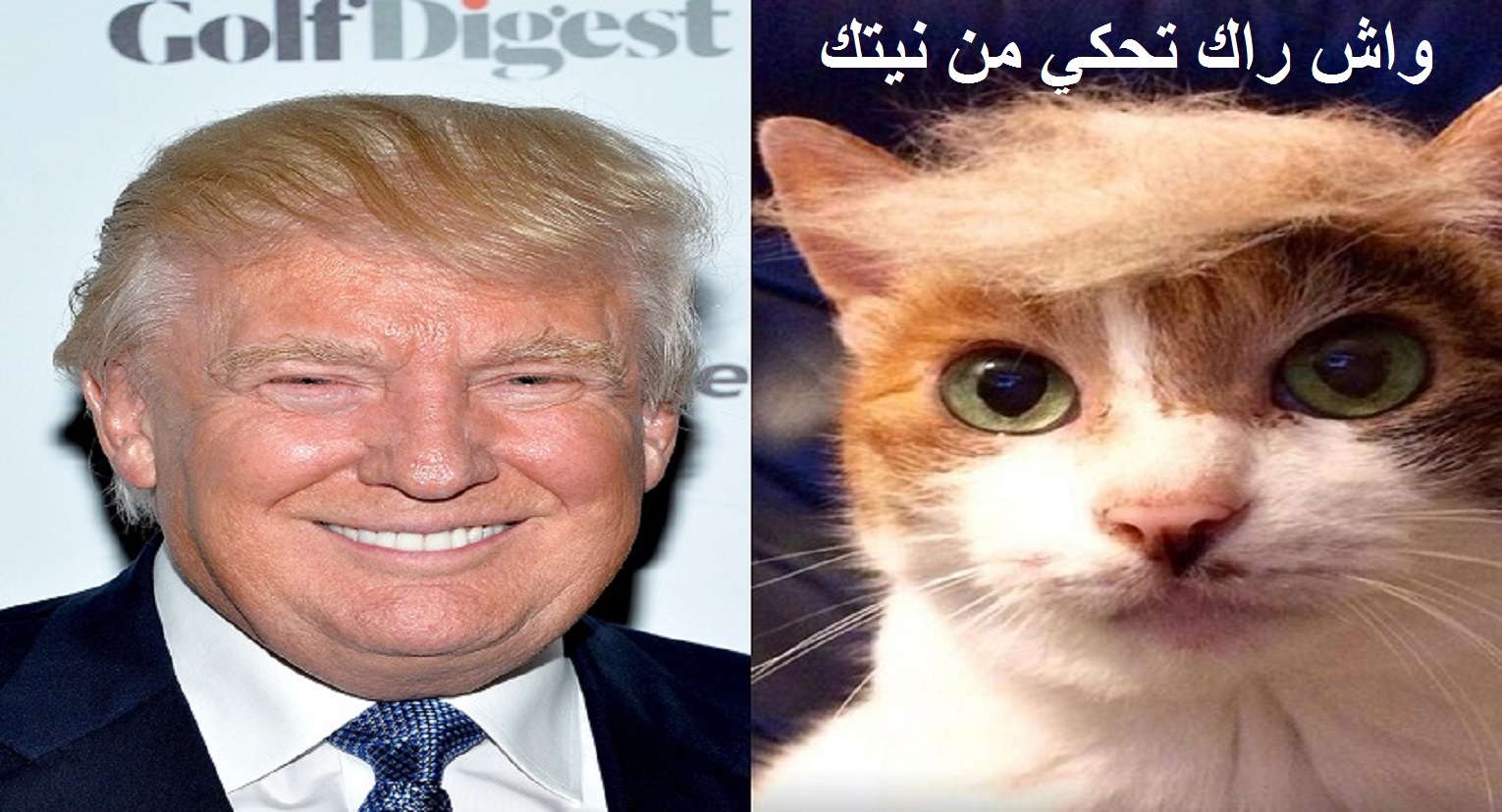 مرشح الجمهوريين دونالد ترامب "يعد" بإغلاق المساجد في حال فوزه برئاسة أمريكا