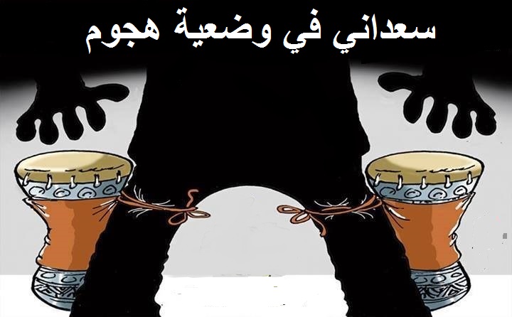 عمار سعداني يهاجم لويزة حنون ويتهمها بـ الانقلاب على مواقفها السابقة