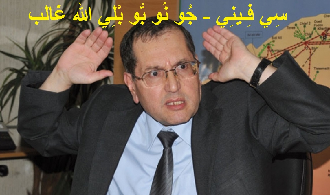بسبب ارتفاع العجز المالي سونلغاز ترفع تسعيرة الكهرباء