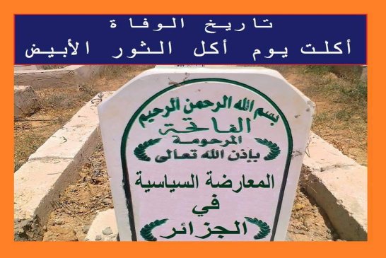 مخرج توافقيّ للجزائر من الأزمة لإقامة "دولة جزائريّة ديمقراطيّة اجتماعيّة ذات سيادة ضمن إطار المبادئ