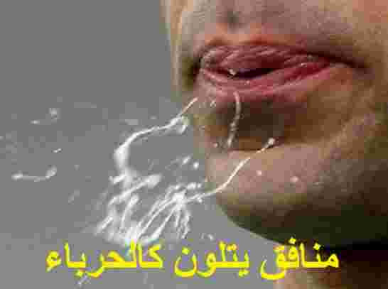 "البوتفليقية"..! تدخل الجزائر لعهد جديد سيدخل التاريخ حسب النائب بهاء الدين طليبة
