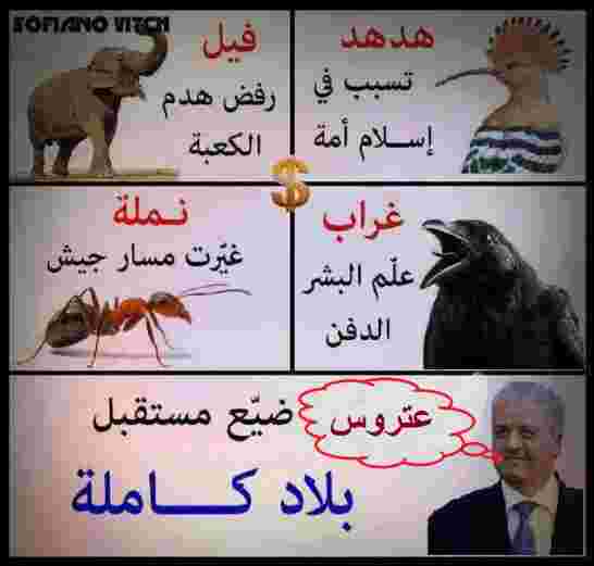 سلال يطمئن الشعب الجزائري: نحن متحكمون في الوضع الاقتصادي رغم استمرار تراجع عائدات النفط