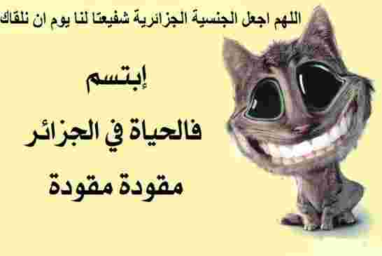 8 مدراء أمام جنايات الجزائر في قضية فساد سونطراك