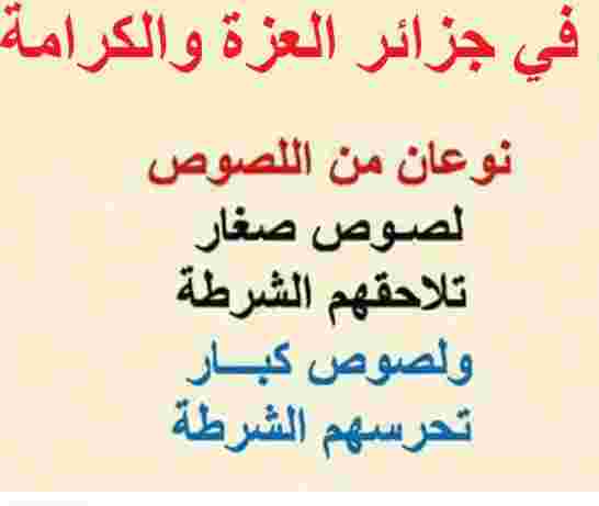 سعداني يطالب بإبعاد حاملي جنسية ثانية عن المناصب العليا في الجزائر