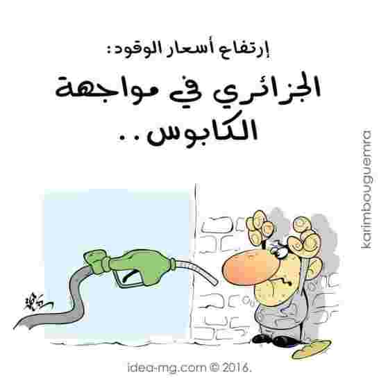 الجزائر الى أين؟