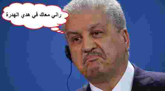 عبد المجيد عطار لسلال العودة الى الإستدانة هي الحل "روحو تسلْفو!"