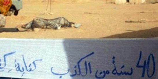 نواب أوروبيون يعيدون ملف "إحصاء سكان تندوف" الذي ترفضه الجزائر الى الواجهة