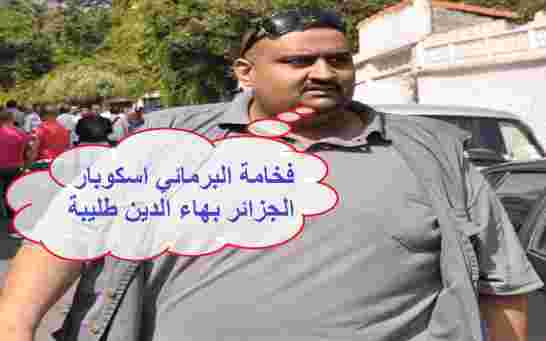 بهاء الدين طليبة يغيّر بروتكولات البرلمان بمدخل تشريفات خاص بفخامته