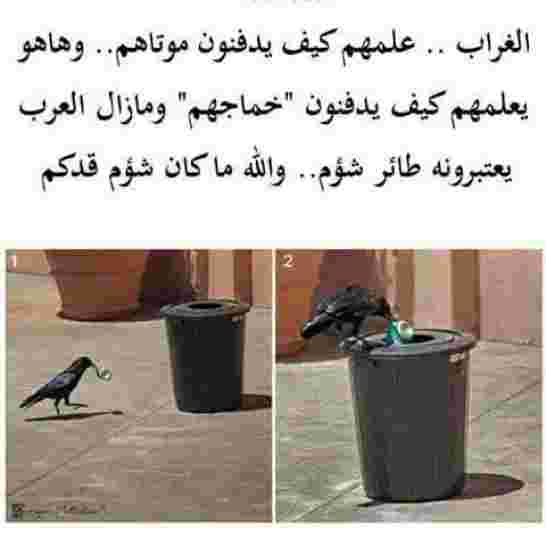 التعليق لكم؟