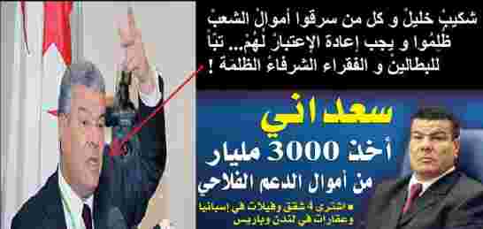 سعداني يهاجم حملة أيادي الدياراس المغلوطة” ويطالب بالصفح عن شكيب خليل والإطارات المظلومة