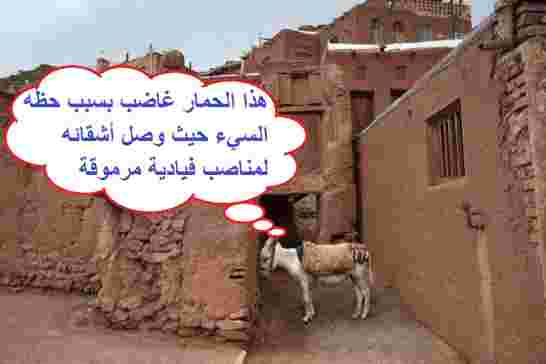 بعد فوات الأوان الجزائر تعترف بالضرر الاقتصادي جراء انهيار أسعار النفط