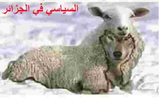 فزع الإفلاس المالي يعيد الجزائر إلى سنوات القحط والتشرد