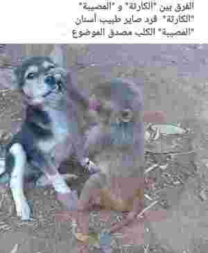 ركز شوية على واقعنا تفهم الفكرة لي حاب نوصلهالك