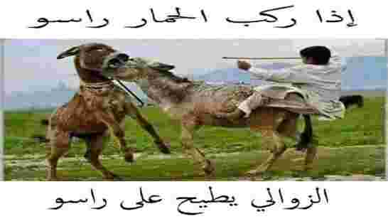 لويزة حنون: أقليات صغيرة نهبت وتسببت في العجز المالي الخطير الذي تعيشه الجزائر
