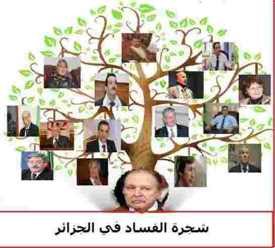 هل أصبحت الجزائر دولة فاشلة؟